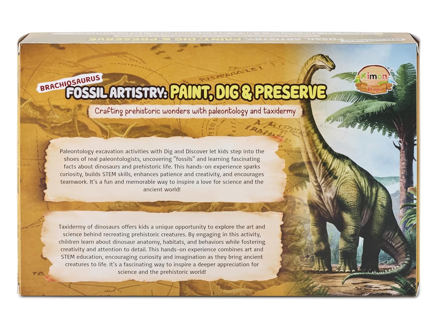 Fossil Artistry - Brachiosaurus - Paint, Dig and Preserve Dinosaur Activity Set, Educational STEM Toy, Ages 5+