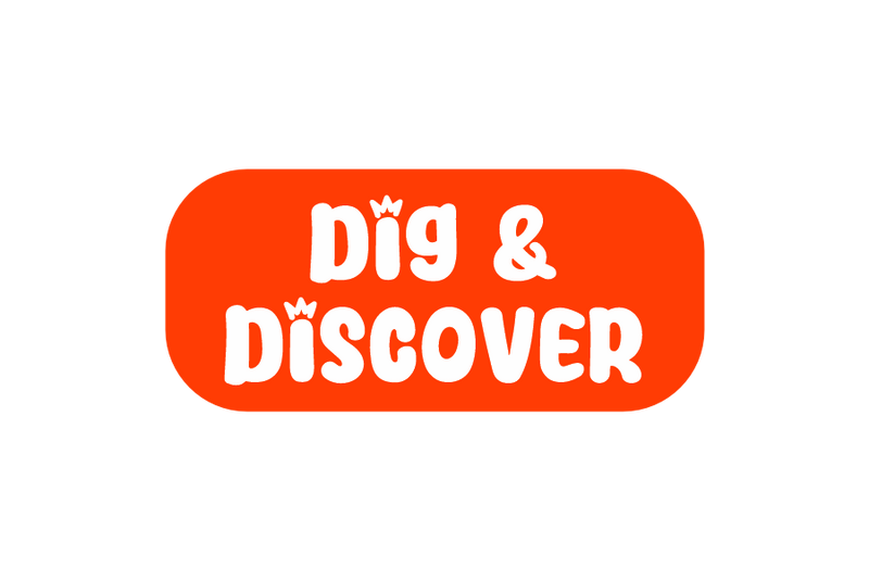 Dig & Discover